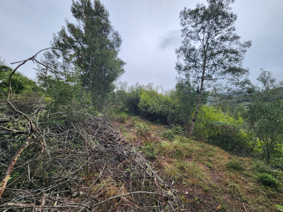 Commercial Property for Sale in Hoekwil Western Cape